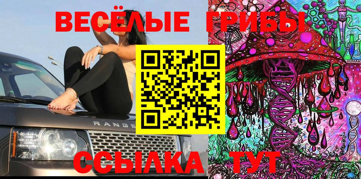 Псилоцибиновые грибы ЛСД  Вход с VPN  Галлюциногенные грибы MAGIC MUSHROOMS  Асино 