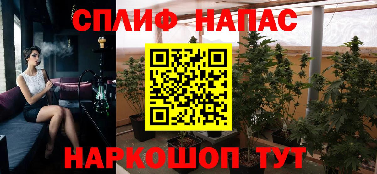 Асино  Бошки Шишки семена  Шишки марихуана Amnesia  Бошки Шишки ГИДРОПОН  МАРИХУАНА сатива  Вход с VPN 